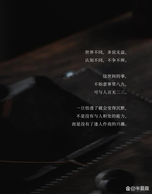 都怪我不该沉默时沉默_我本沉默_我本沉默本传奇私服